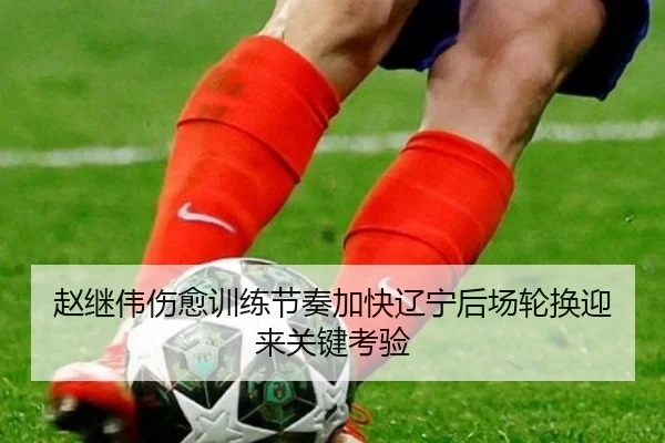 赵继伟伤愈训练节奏加快辽宁后场轮换迎来关键考验